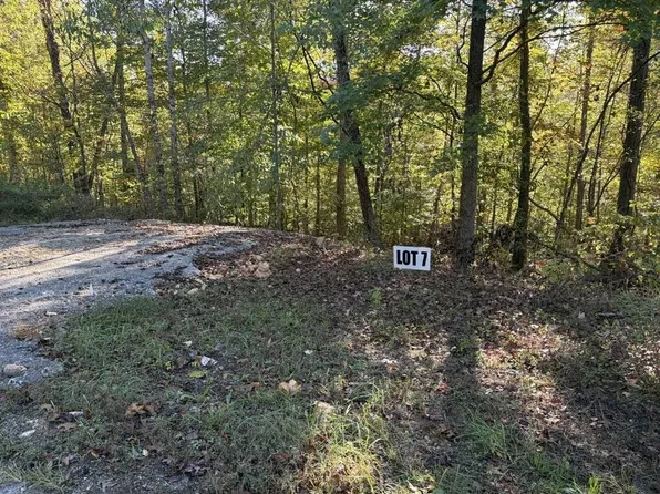 7 Slaughter Rd N Lot 7 & 8, Primm Springs, TN 38476