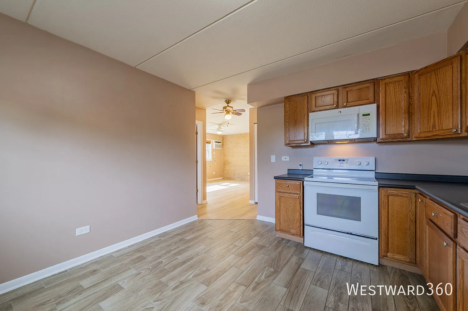 Spacious 1br/1ba in Countryside, IL — Photo 4
