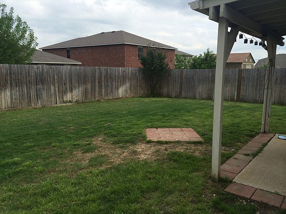 Back yard