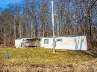 11956 Pope Rd, Randolph, NY 14772