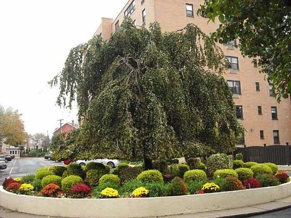 2nd image of 2352 Linwood Ave APT 6B