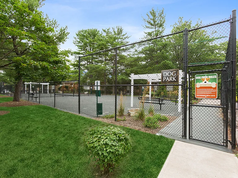 The Park at Franklin — Photo 15