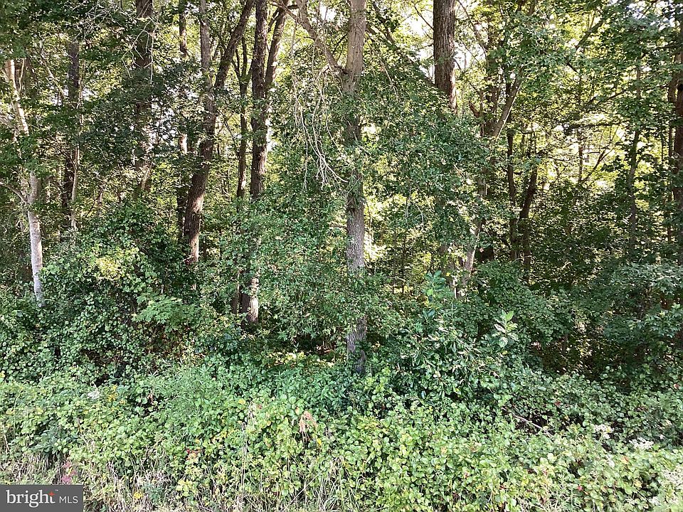 2nd image of 914 Sportsman Rd
