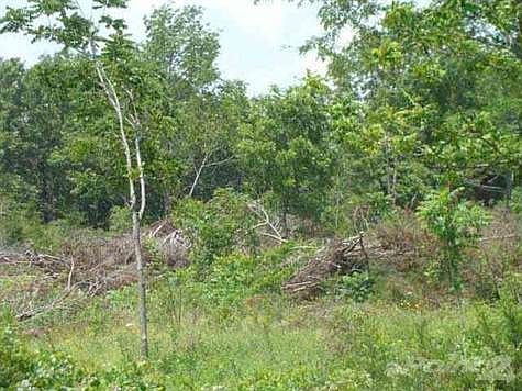 2nd image of 0 Cemetary Rd