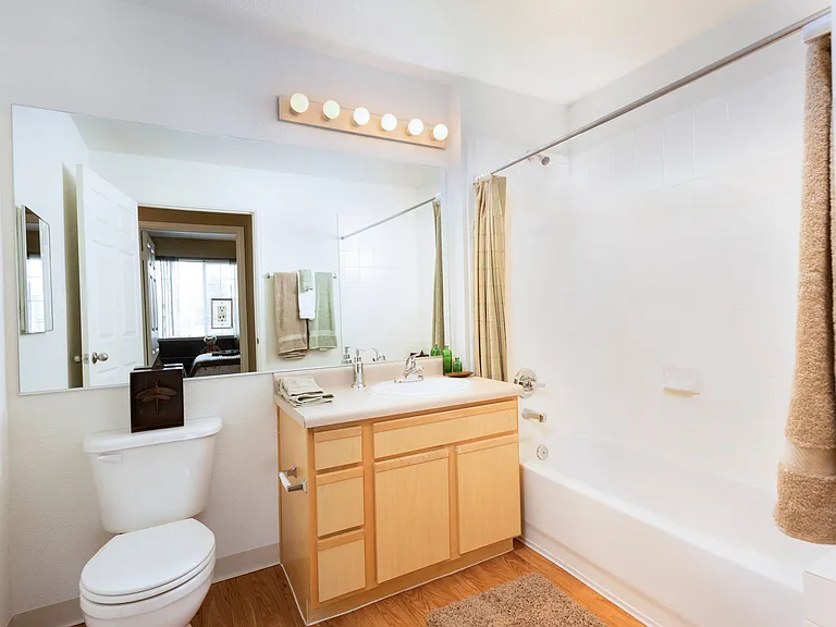 Full Bathroom View