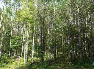 Lots 2 And 3 W Spider Lake Rd, Iron River, WI 54847
