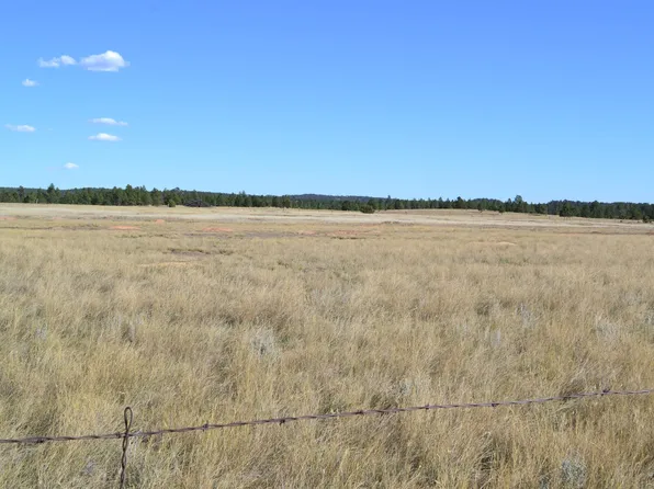 Tbd Moonlight Dr, Edgemont, SD 57735