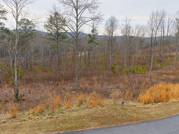 3rd image of LOT 142 Twisted Oak Rd
