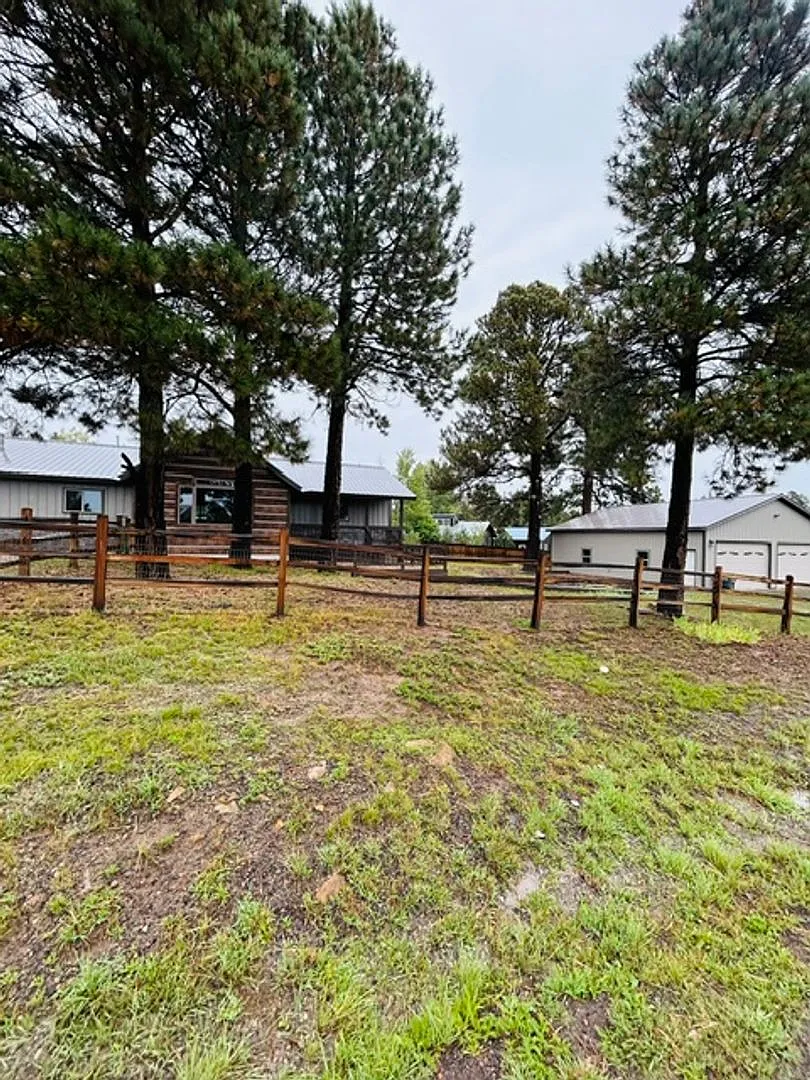 3 Bedroom, 2 Bath Home for Rent $2,800/Month Lake Hatcher — Photo 3