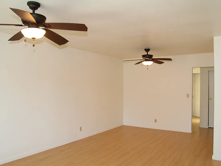 41058 Bairo Ct — Photo 6