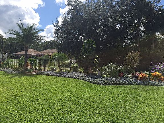 Backyard landscape
