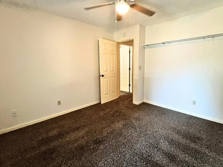 2509 Hollyhock Dr — Photo 33