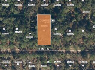 314 Carteret Rd LOT 28, Georgetown, FL 32139