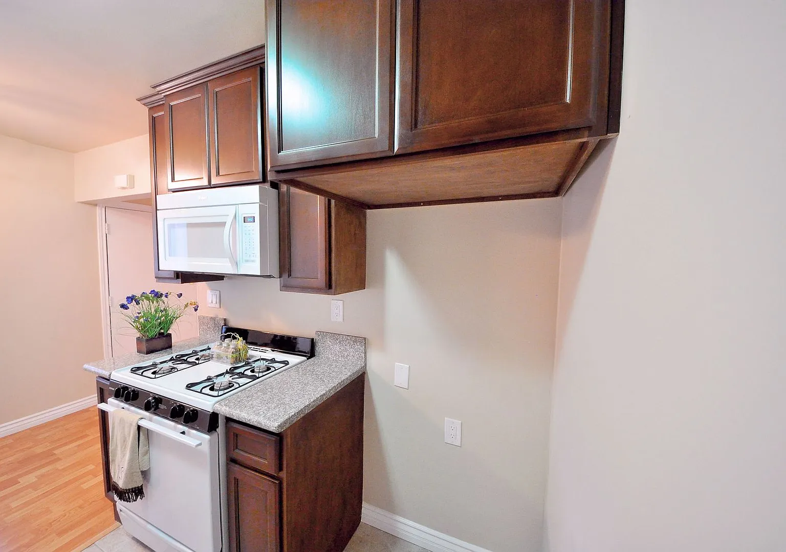 Temple City Vista, LLC — Photo 2