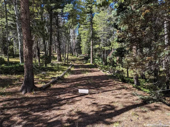 2971-2972 Forbes Park Loop, Fort Garland, CO 81133