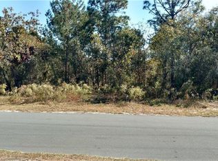 13106 Antelope St, Spring Hill, FL 34609