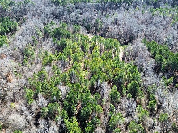 Dji Fly 20260113 135912 240 1768331021145 Photo Optimized