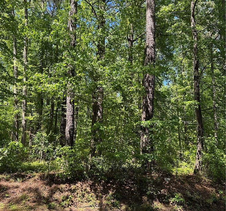 1st image of LOT 80 Pughsville Rd