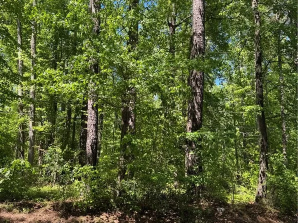 LOT 80 Pughsville Rd, Suffolk, VA 23435