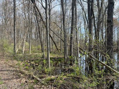 Waterloo Munith Rd, Grass Lake, MI, 49240