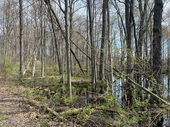Waterloo Munith Rd, Grass Lake, MI 49240