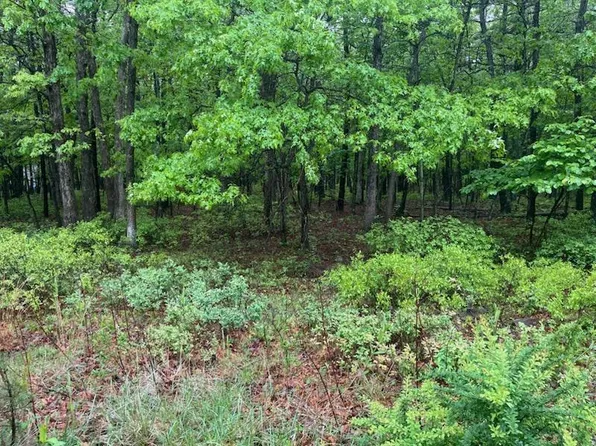 A302 Dew Drop Dr, Jim Thorpe, PA 18229