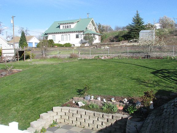 Back yard