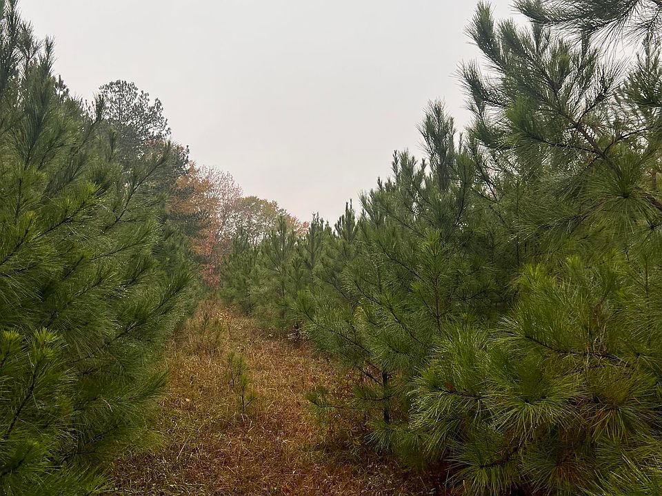 2nd image of 1312 Sparks Gap Rd #0