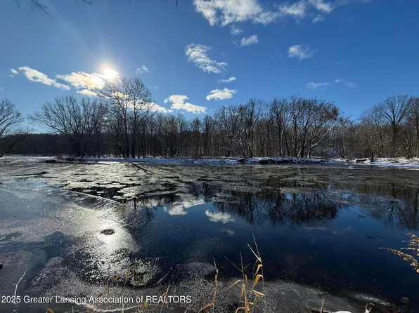 0 Island St, Portland, MI 48875