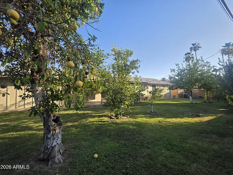342 W Diana Ave — Photo 20