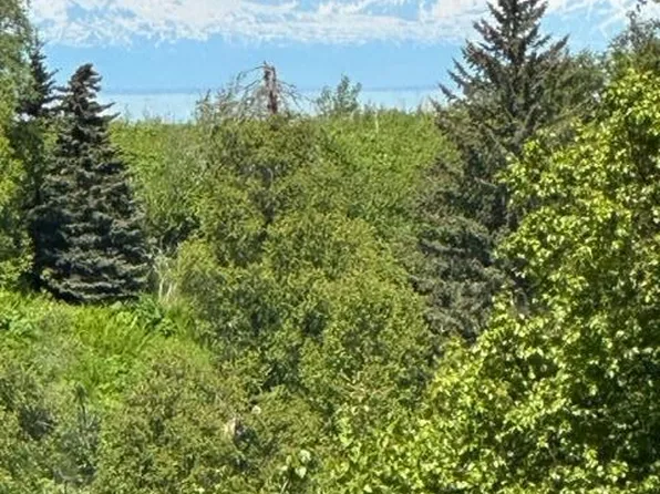L9 B7 Hyila Ln, Ninilchik, AK 99639