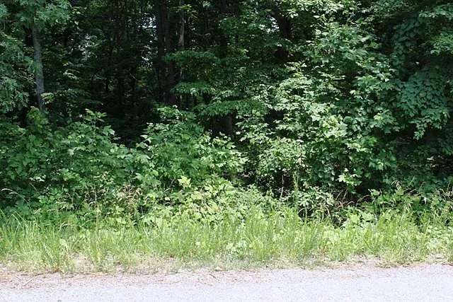 6 Mallard Point Rd photo 1