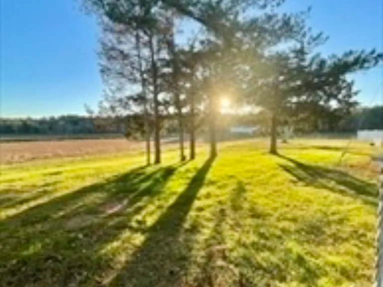 2667 Cranberry Hwy #4 — Photo 13