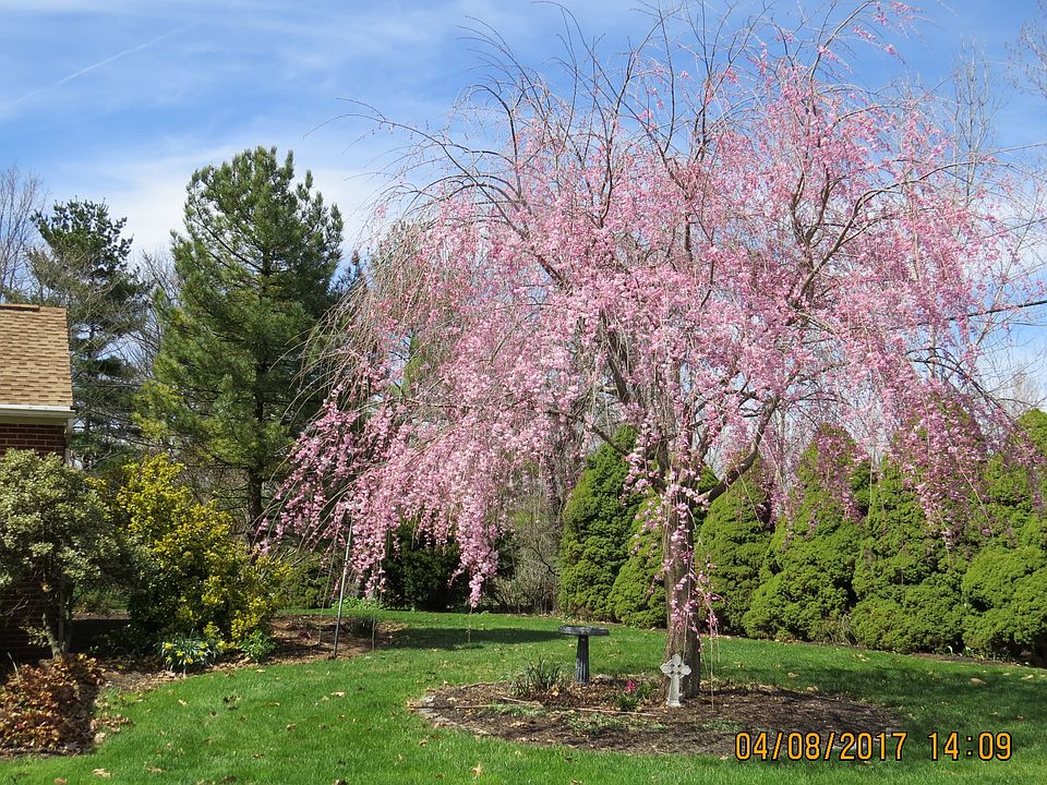 living room view in spring