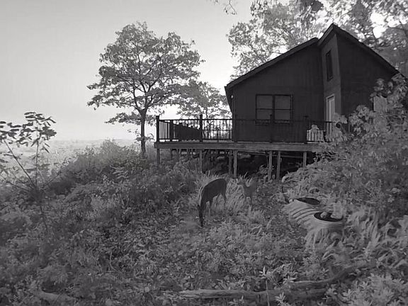 4th image of 829 Kile Knob Rd