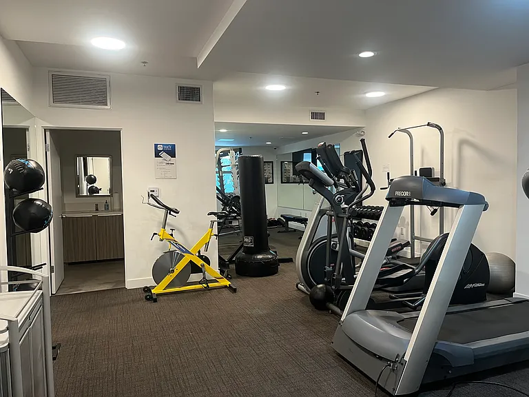 Enzo — Photo 10