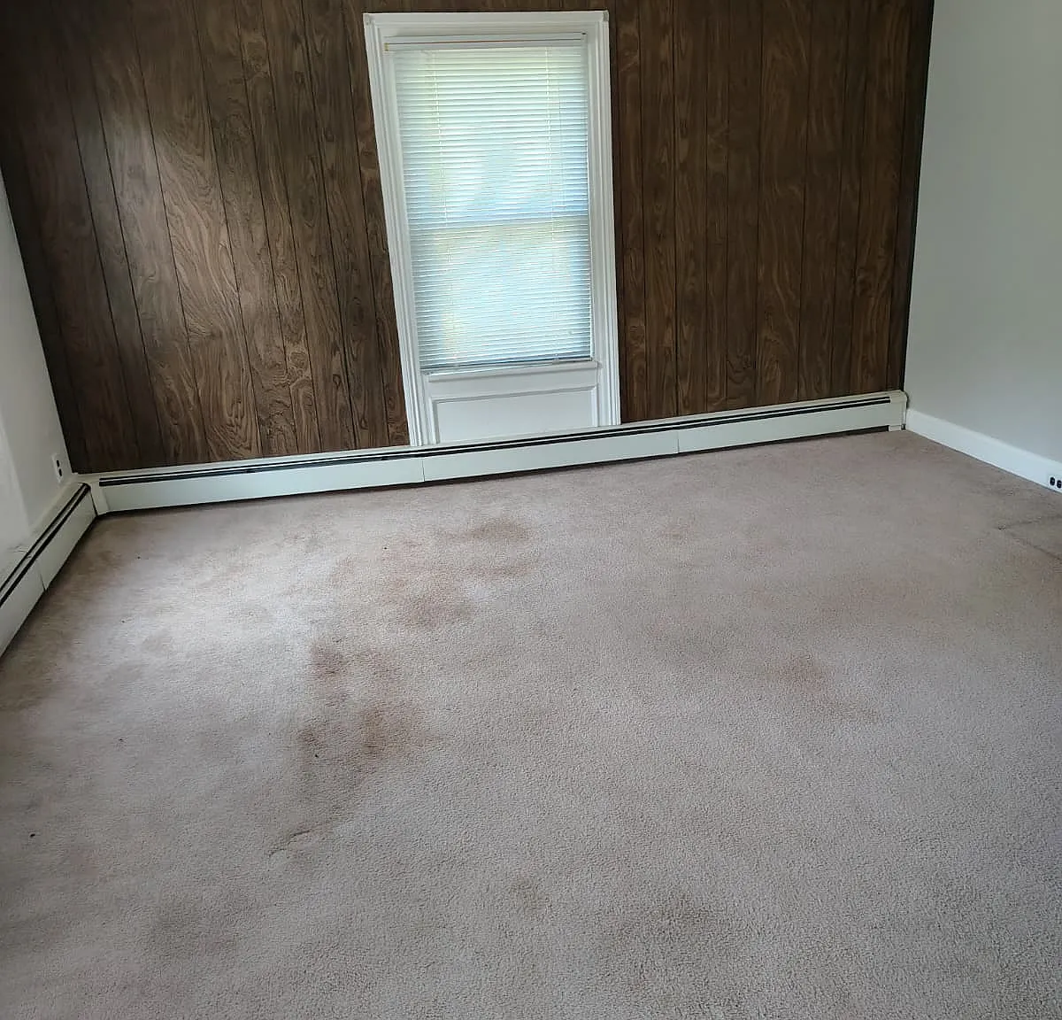 1 bed, 700 sqft, $1,600 — Photo 4