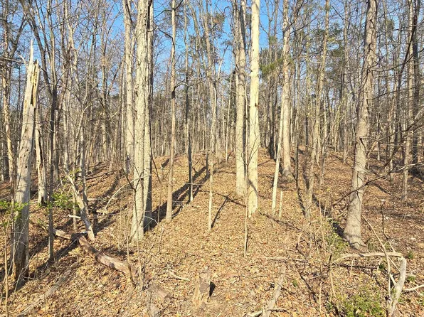 0 Hudson Hollow Rd, Stephens City, VA 22655