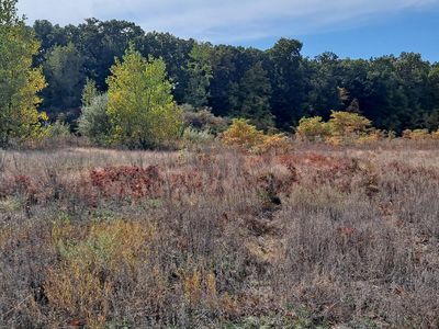 62766 M 40, Lawton, MI, 49065