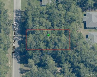 9831 N Pewter Ave, Citrus Springs, FL, 34434
