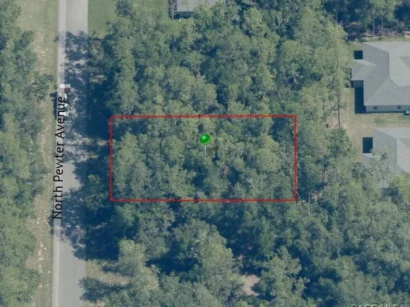 9831 N Pewter Ave, Citrus Springs, FL 34434