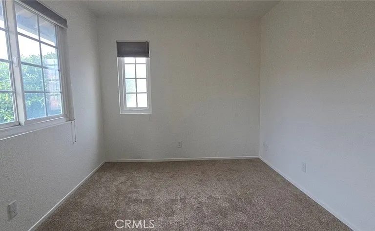 6 Firethorn — Photo 25