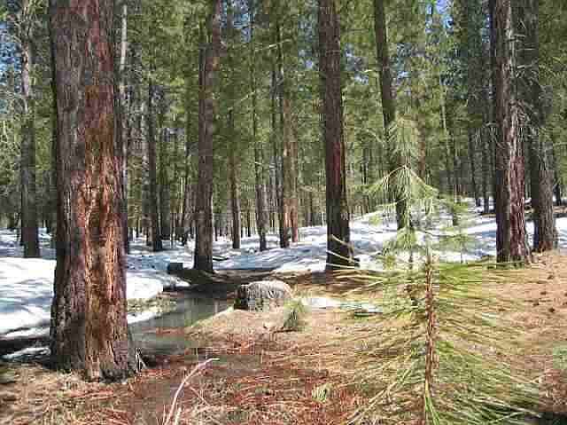 2nd image of 4076 S Lester Creek Rd