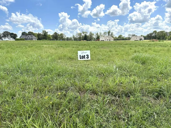 260 Dugout Rd Lot 3, Summertown, TN 38483