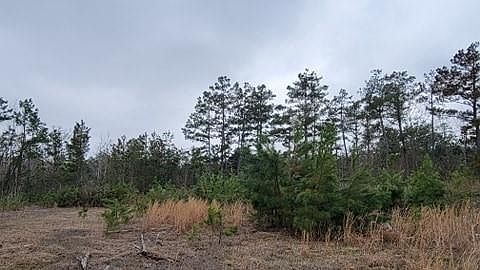 3rd image of 9211 Fm 2022 N