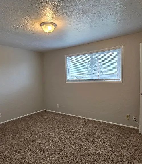 494-D Street — Photo 15
