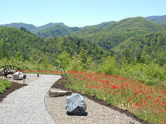 Walkway and View 