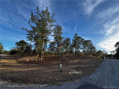 1386 W Plum Pl, Beverly Hills, FL, 34465