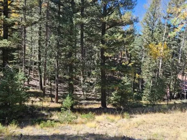 2763 N Mountain Estates Rd, Florissant, CO 80816