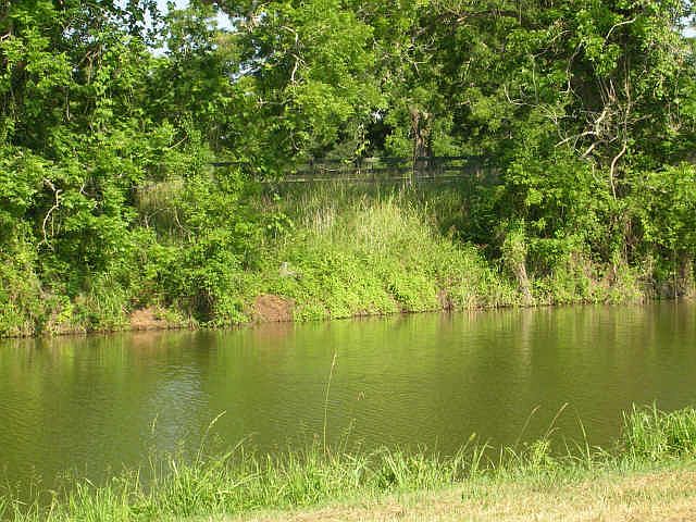 1st image of 5610 Fulbrook Shores Trce